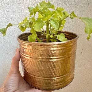 Hosley Gold Textured Vase Decorative Accent